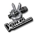 THE VOICE VAN VLAANDEREN